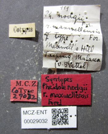Media type: image; Entomology 29032